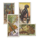 Wonders of Nature (25) Lambert and Butler 1934