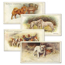 Dogs - Scenic Backgrounds - (50) Player's 1925