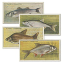 Fresh-Water Fishes (50) Player's 1933