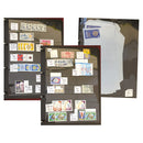 Rotary/Lions Intl_CLN3051