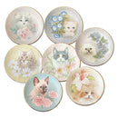 Curious Kittens Decorative Plates - Set of 7_CXG0871