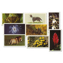 Grandee Collectors Cards x 13