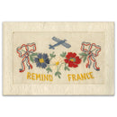 WWI  Silk Postcard - Remind France