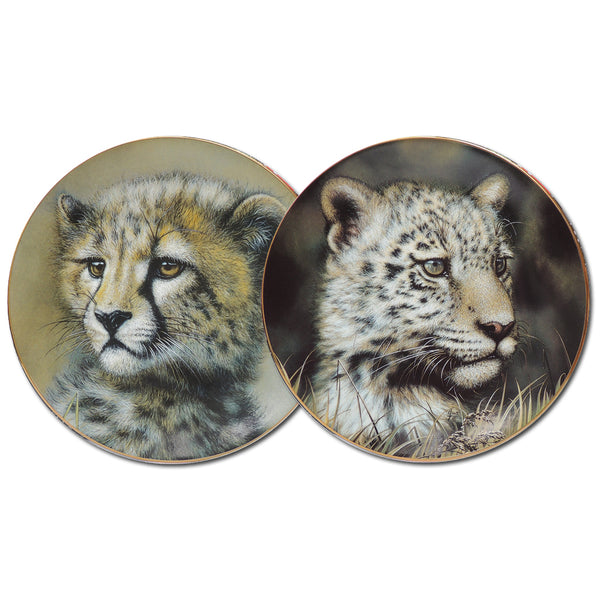 Pair of Cub Limited Edition Plates CXG0878