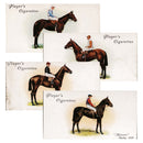 Derby & Grand Nat Winners Player's (50)