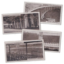 Ogdens Greyhound Racing 1st Series 1927 (25)