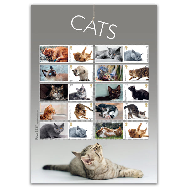 2022 Cats Collectors Sheet