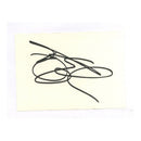 Terry Gilliam Signed Card, 4x6"