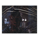 Jeff Goldblum Signed 8x10" Photograph