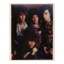 Tico Torres 8 x 10" Signed Photo