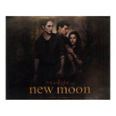 Anna Kendrick Signed Promotional Photo 8x10" Twilight : New Moon