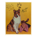 Jon Provost Signed 8x10" Photograph