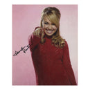 Hayden Panettiere Signed 10x8" Photograph