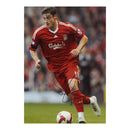 Albert Riera Liverpool FC Signed 8x12" Photograph