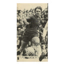David Webb Signed Photograph, 24 x 12cm