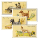 Dogs (50) Ogdens 1936