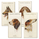 Dogs Heads (Wardle) (50) Player's 1929