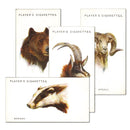 Wild Animal Heads (50) Player's 1932_4PLA19323