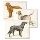 Dogs - Full Length (L25) Player's 1933