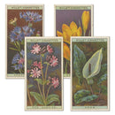 Wild Flowers (50) Wills 1923