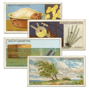 Do You Know - 2nd Series (50) Wills 1924