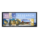 Ascension 2009 Turtle Research, u/m. SG1048-55