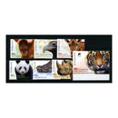 2012 Australian Zoos, u/m. SG3853-59