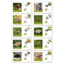 2026 Moths Stamps BS Set_BS26429
