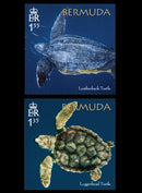 Bermuda Turtle Project 4 value set  22/3/18
