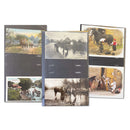 Horse Postcards