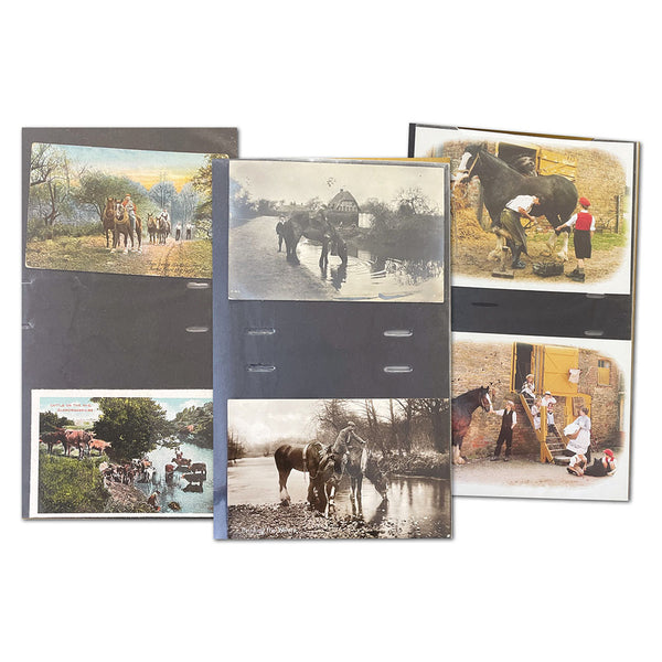 Horse Postcards