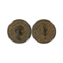 Roman Imperial "Limes Denarius"