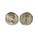 Geta Denarius, 198-209, RIC 103_CXCR047