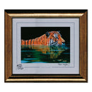 Silent Swimmer - 2011 Limited Edition Print of a Swimming Tiger, Stephen Gayford