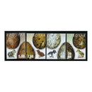 Faroe Is 2002 Birds - chicks & eggs, u/m. SG435-8