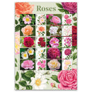 2026 Roses Collectors Sheet 5 x 1st, 5 x 2nd_GBLS182