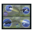 Ghana 2001 Whales & dolphin (single vals), u/m. SG3215-16+3229-30