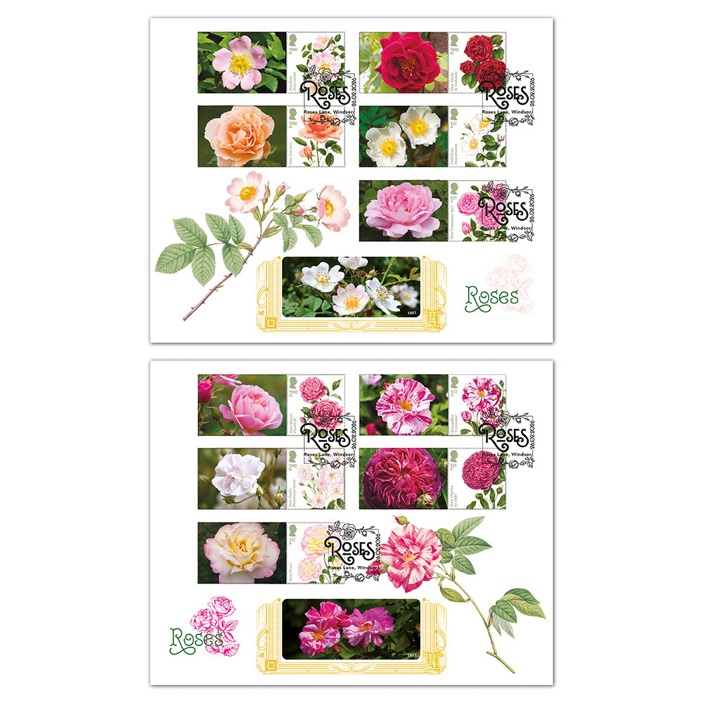 Collector Roses 2026 Roses Collector Sheet GOLD 500 Pair of Covers