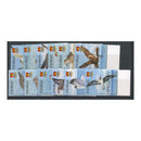 Kiribati 2008 Birds, u/m. SG810-21 SPECIMEN