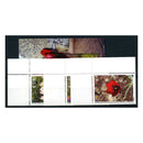 Kosovo 2014 Flowers, u/m. SG271-73+ MS273a