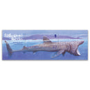 2005 Guernsey - Endangered Species - Basking Shark £2 M/S_PSM1906