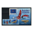 St Helena 2024 Blue Belt Programme (4v+MS), u/m.