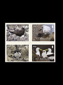 St.Helena Parenting in Seabird Colonies 4v