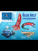 St. Helena Blue Belt Deep Sea Creatures  Xmas'24 £5 1v M/S
