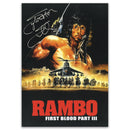 Sylvester Stallone_UFP10248