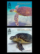 Bermuda Turtle Project 4 value set  22/3/18
