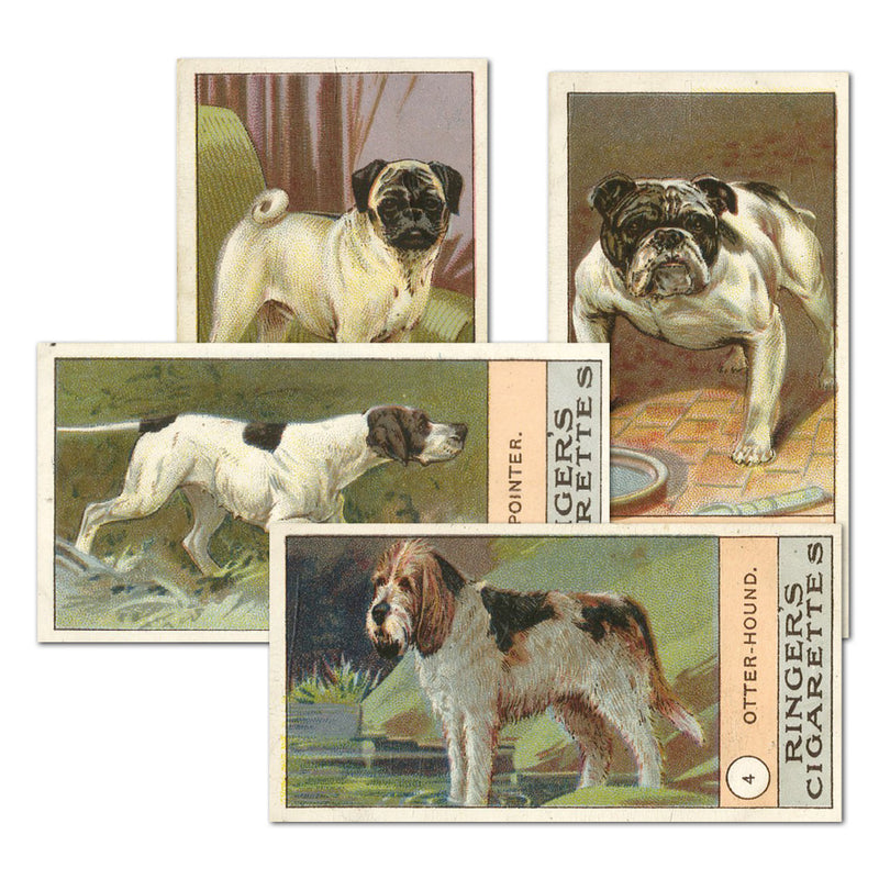 Dogs (23) Edwards, Ringer & Bigg 1908