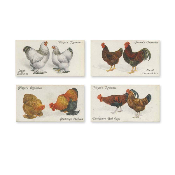Poultry (50) Player's 1931 4PLA19311