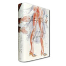 Madame Bovary Penguin Designer Classics (2006) -  Limited Edition CXB0010