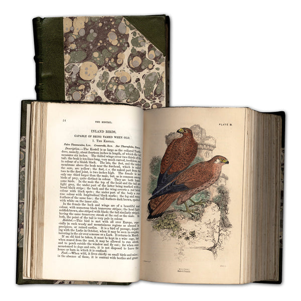Cage & Chamber Birds (1853) by Bechstein - First Edition CXB0103